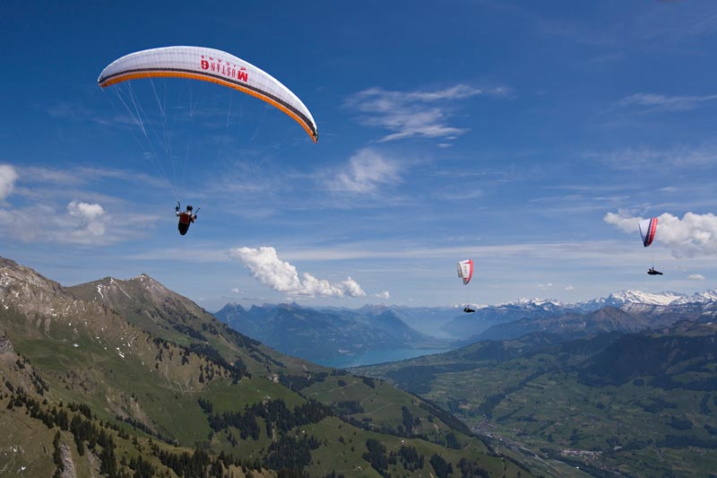 Stratus 7